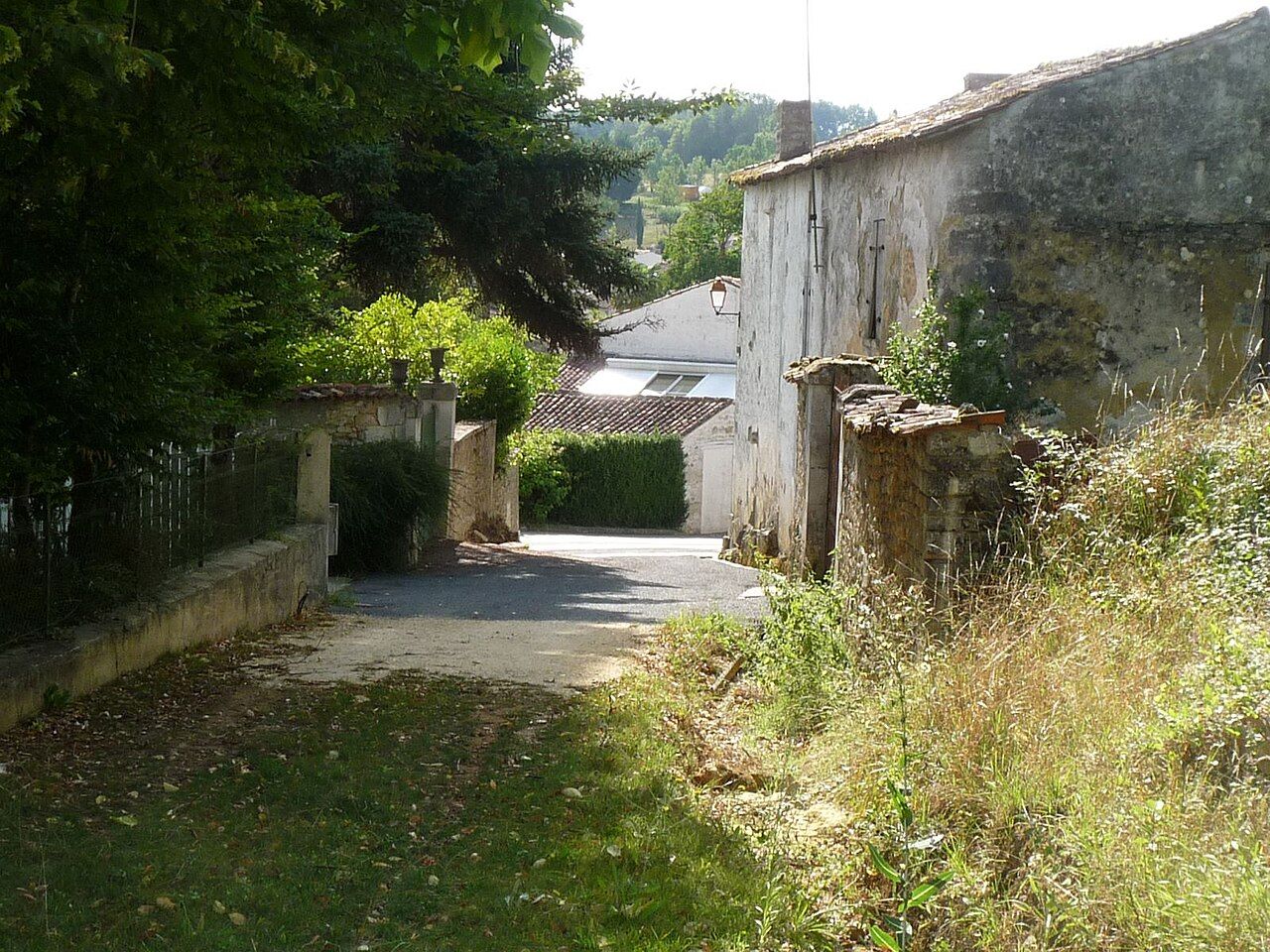 Photo 5 — Saint-Sauvant, Charente-Maritime (17610)