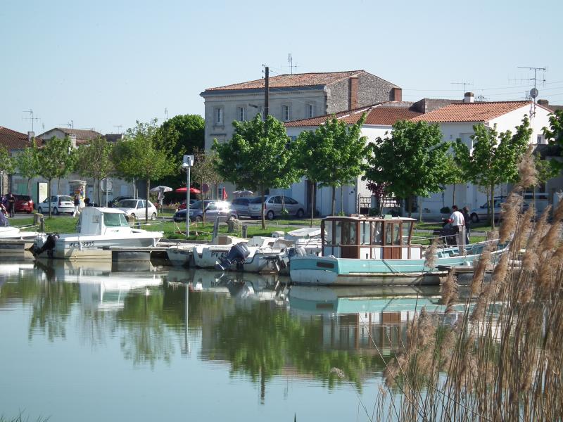 Photo 5 - Saujon, Charente-Maritime (17600)