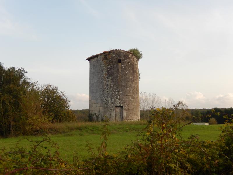Soulignonne