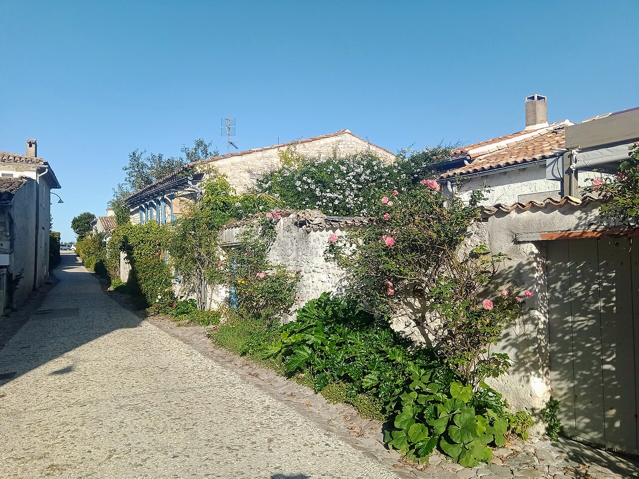 Photo 3 — Talmont-sur-Gironde, Charente-Maritime (17120)