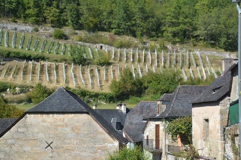 Chasteaux