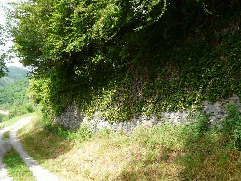 Confolent-Port-Dieu