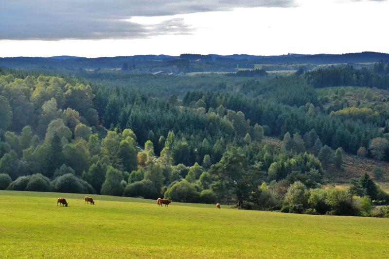 Saint-Setiers