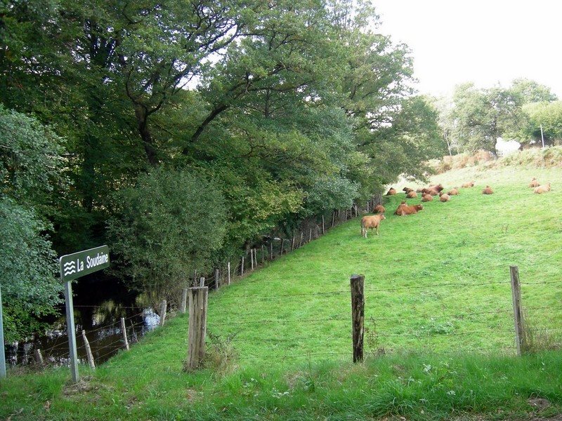 Soudaine-Lavinadière
