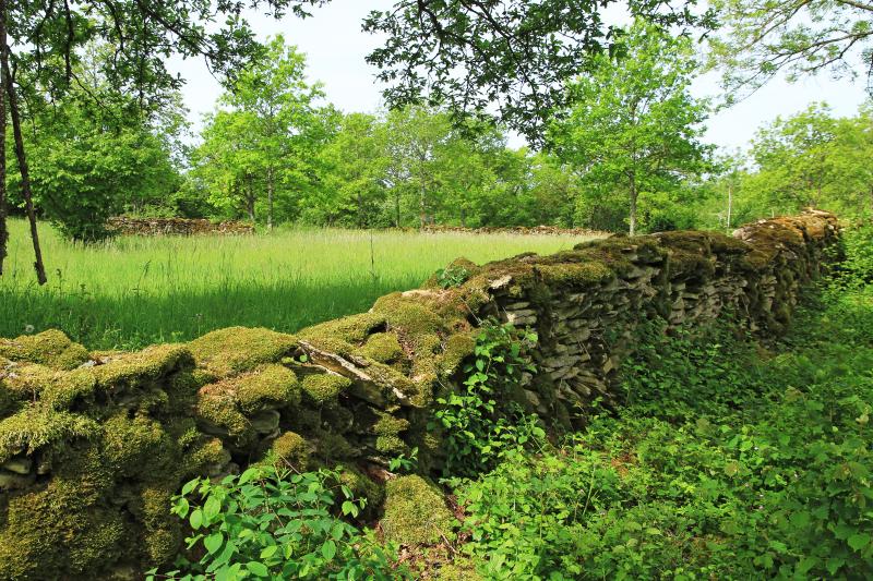 Arnay-sous-Vitteaux