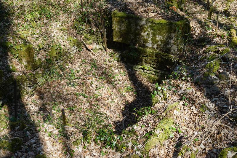 Aubigny-la-Ronce