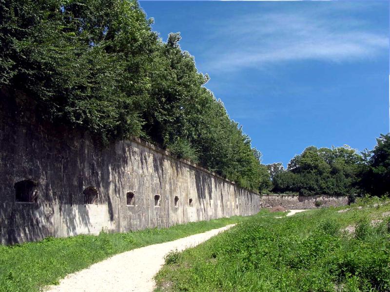 Auxonne