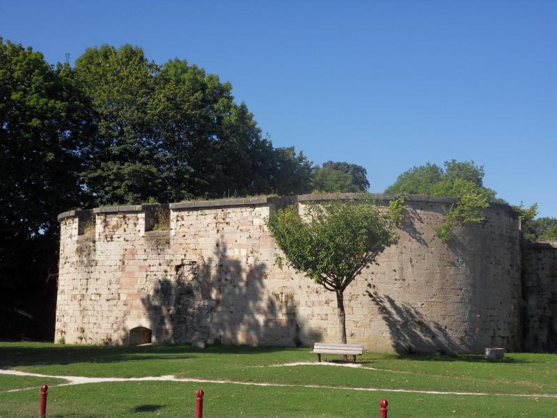 Auxonne