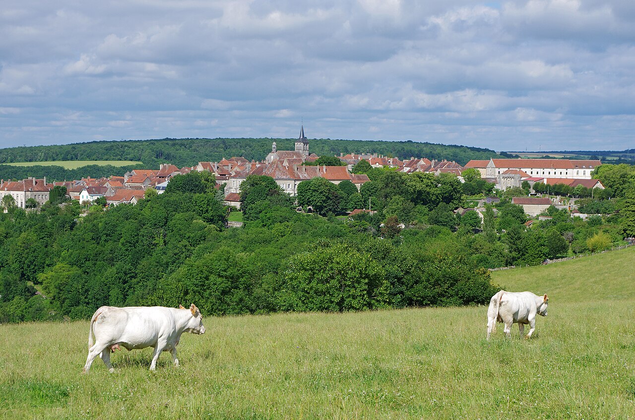 Photo 7 — Flavigny-sur-Ozerain, Côte-d'Or (21150)