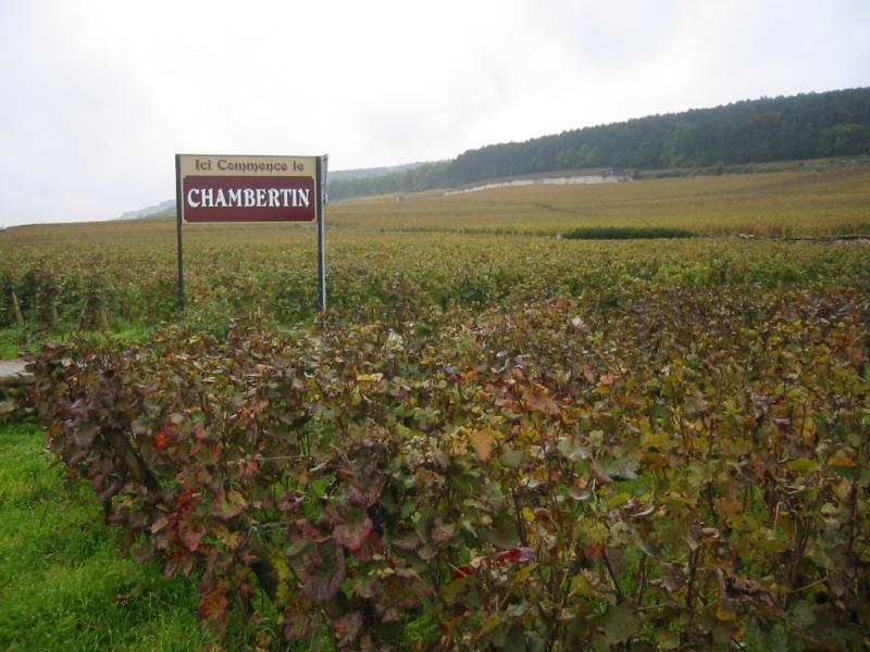 Gevrey-Chambertin