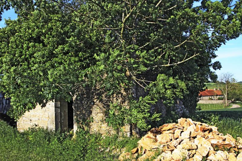 Magny-Lambert