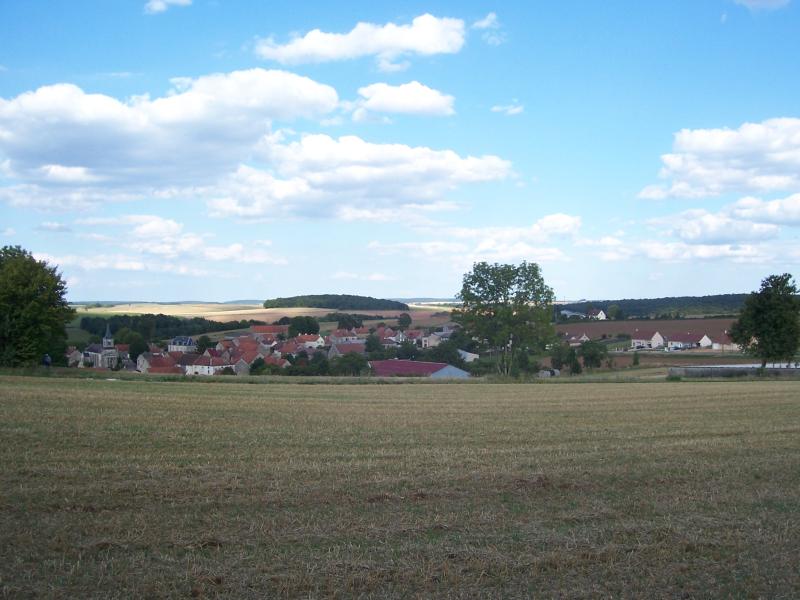 Moitron