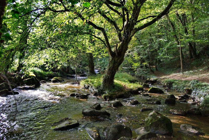 Lanrelas
