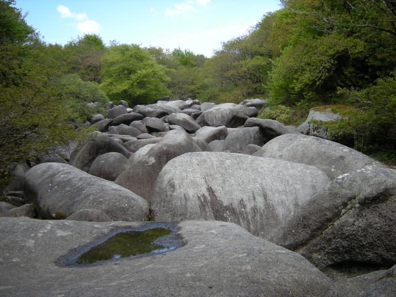 Locarn