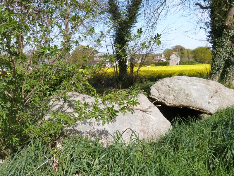 Moncontour