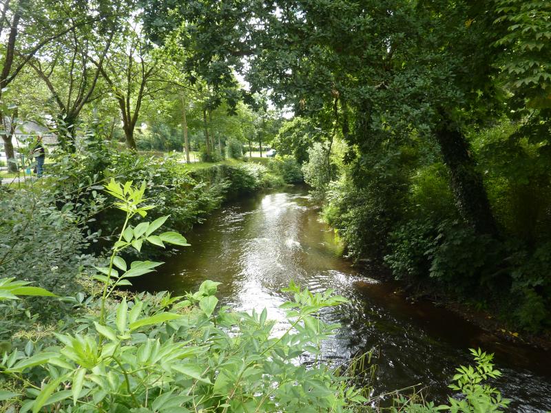 Plélauff