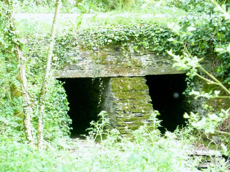 Plévin