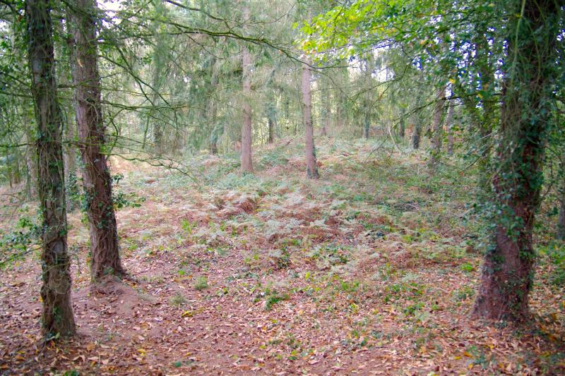 Plorec-sur-Arguenon