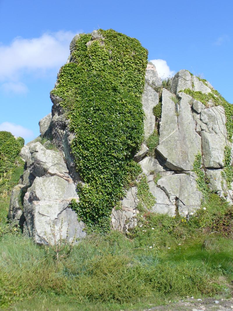 Plougrescant, Côtes-d'Armor