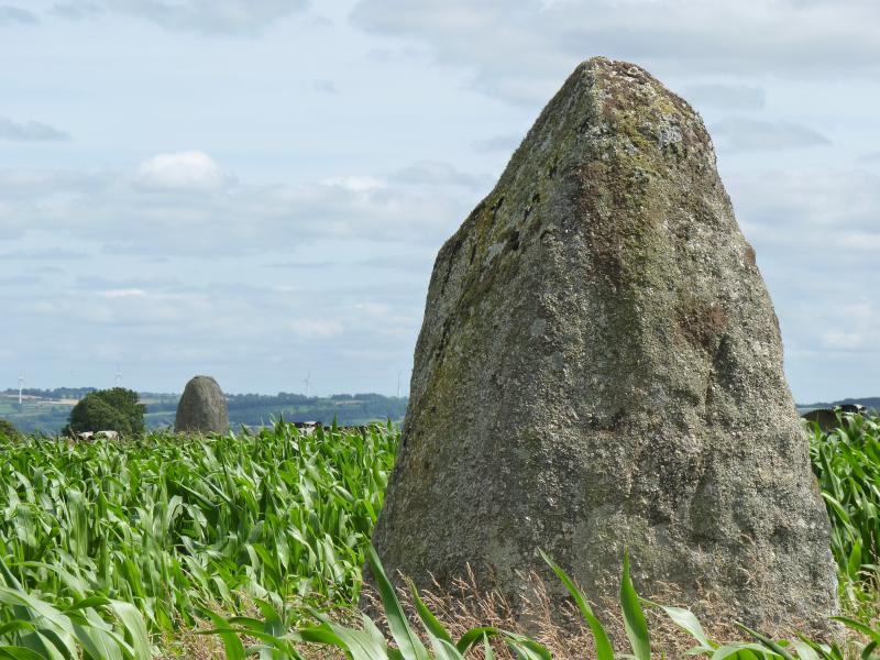 Saint-Gildas, Côtes-d'Armor