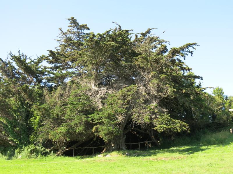 Tréveneuc