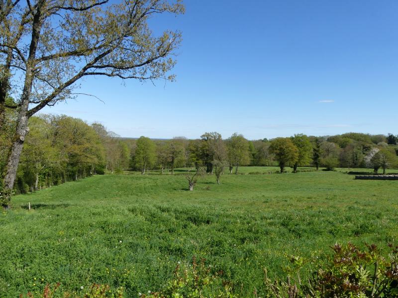 Blaudeix