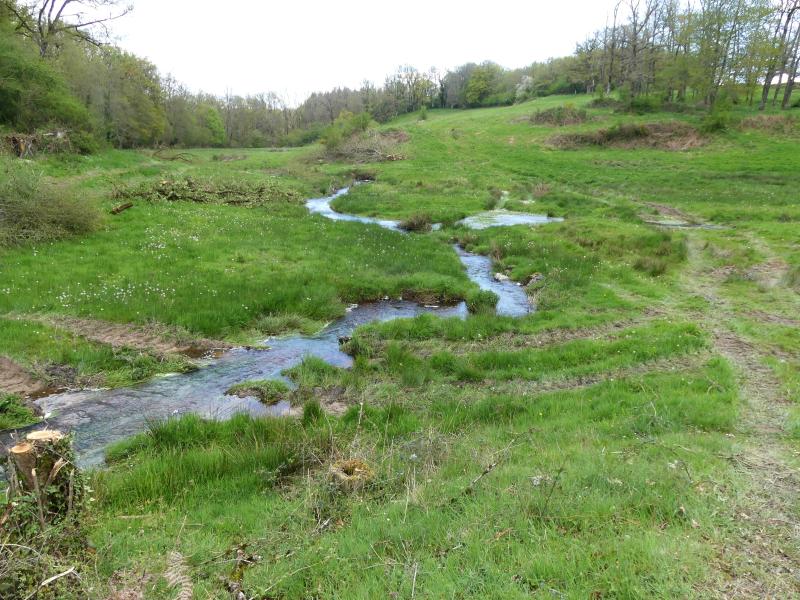 Blaudeix