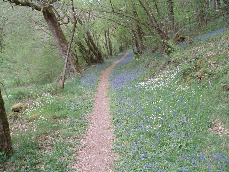 Chambon-sur-Voueize