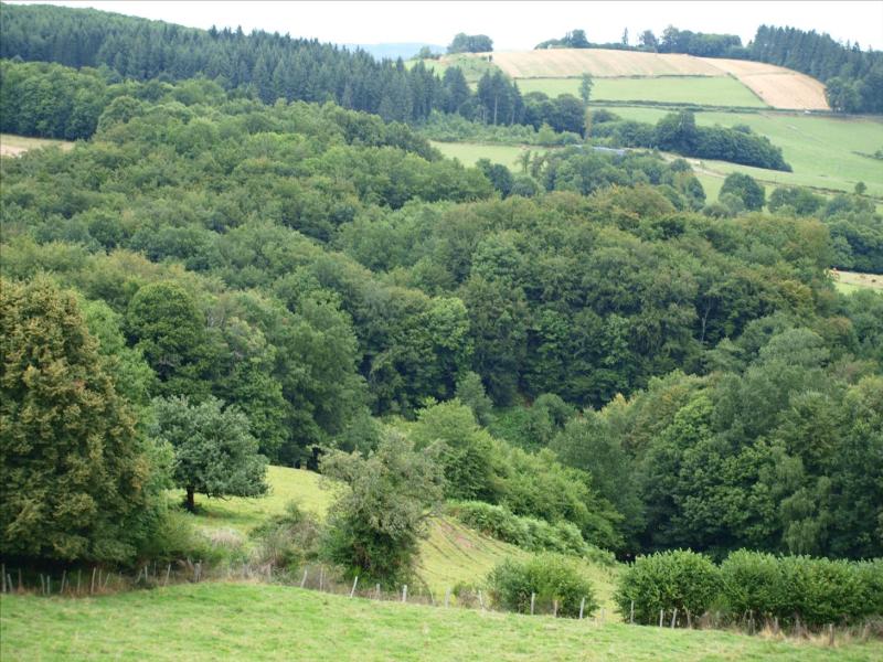 Châtelus-le-Marcheix