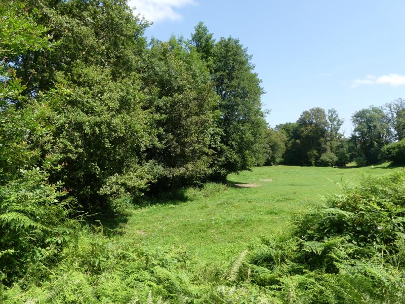 Ladapeyre