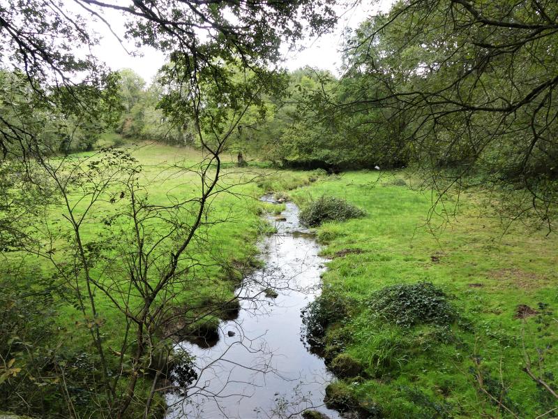 Mazeirat