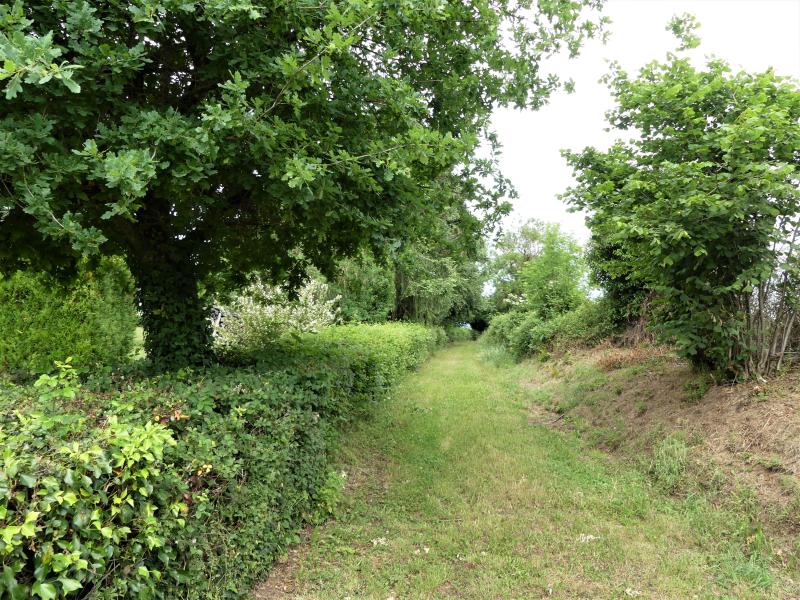 Saint-Julien-la-Genête