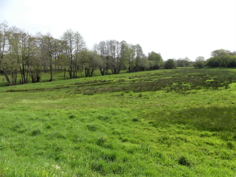 Saint-Maurice-la-Souterraine