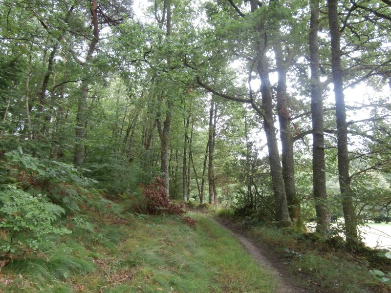 Saint-Yrieix-les-Bois