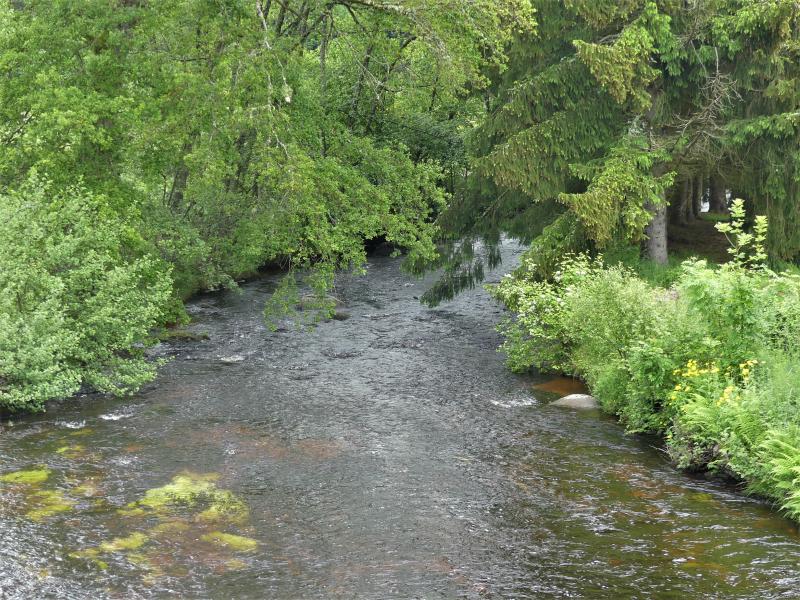 Vallière