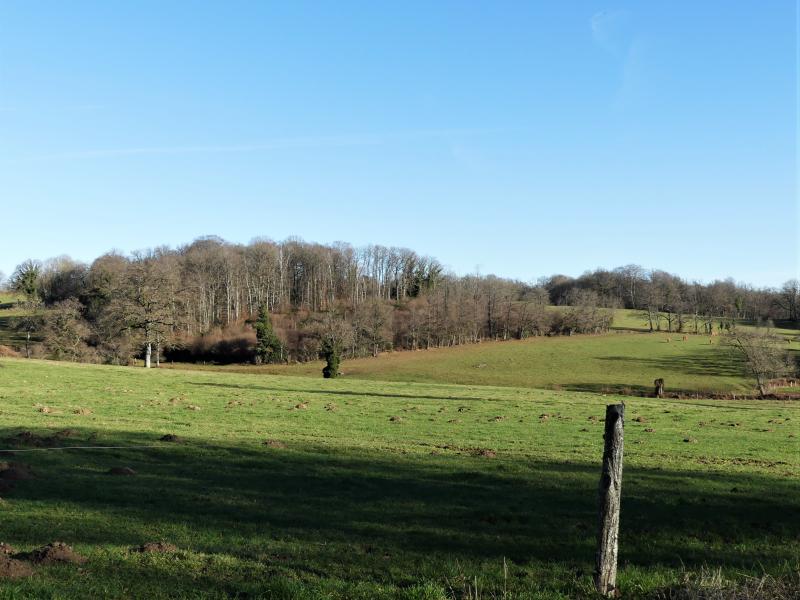 Vigeville