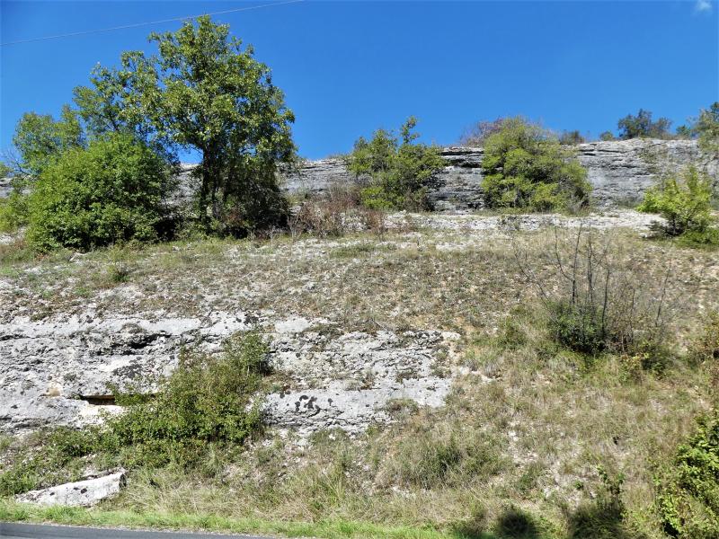 Borrèze