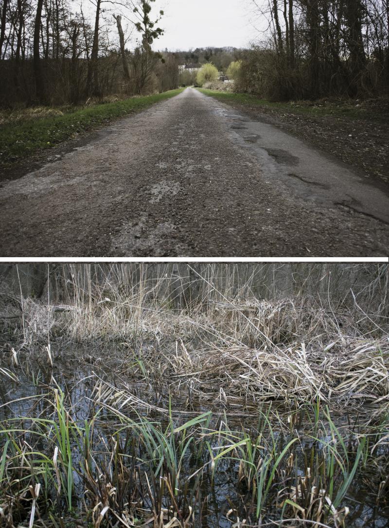 Photo 1 — Campagne, Dordogne (24260)