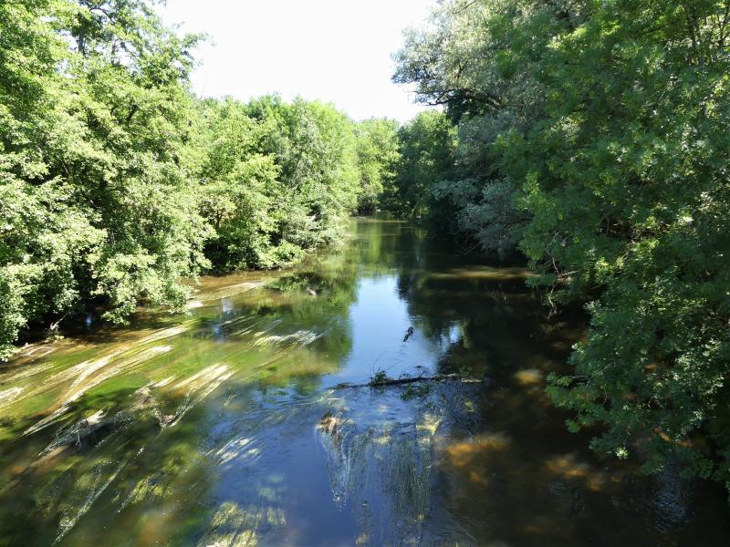 Celles