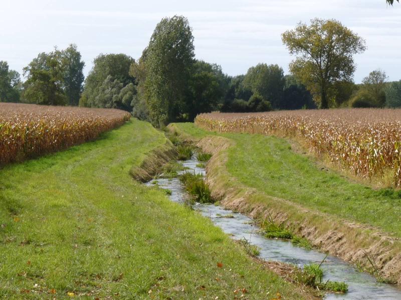 Cherval