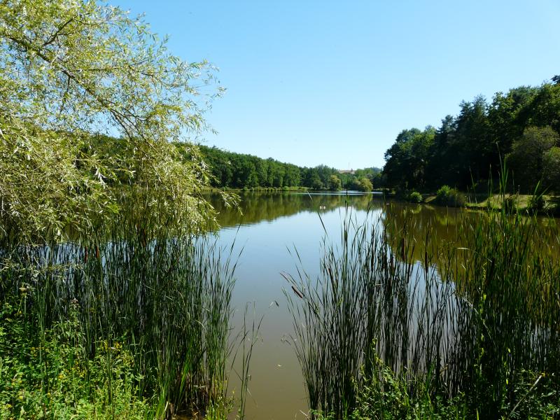Hautefort
