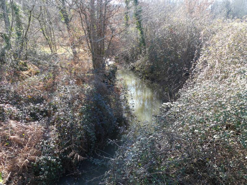 Ménesplet