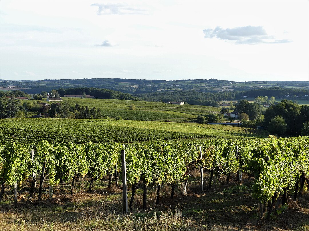 Photo 2 — Monbazillac, Dordogne (24240)