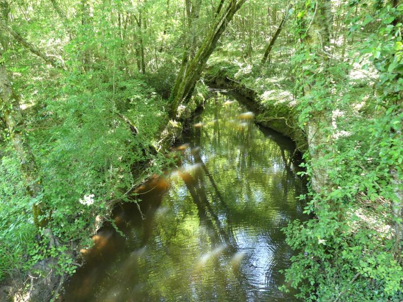 Moulin-Neuf