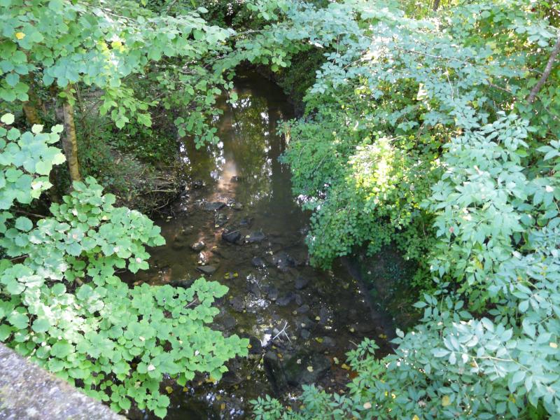 Ribagnac