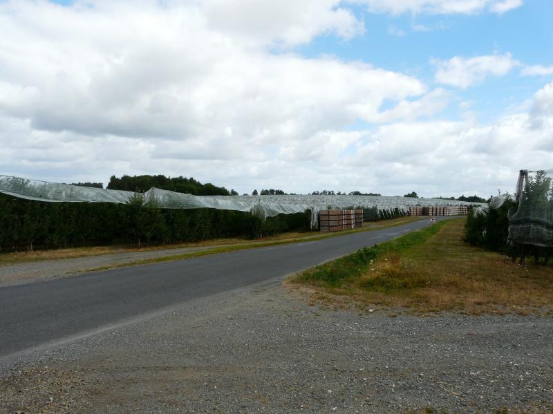 Saint-Cyr-les-Champagnes
