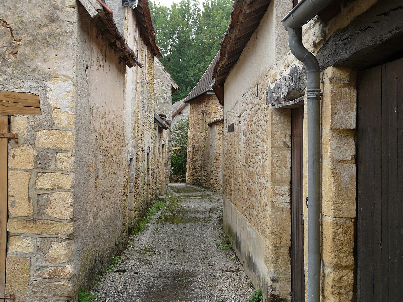 Photo 2 — Saint-Léon-sur-Vézère, Dordogne (24290)