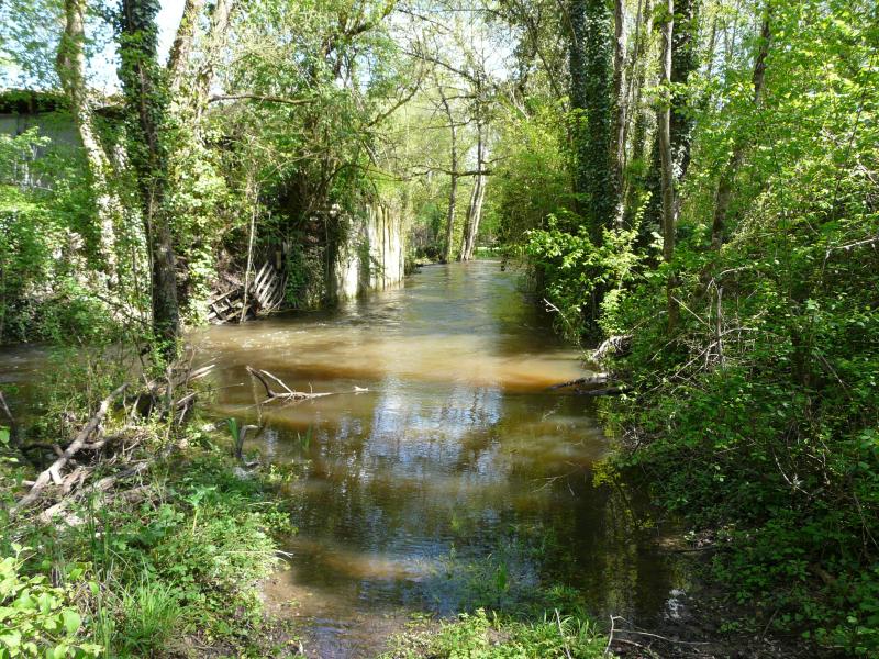 Saint-Louis-en-l'Isle