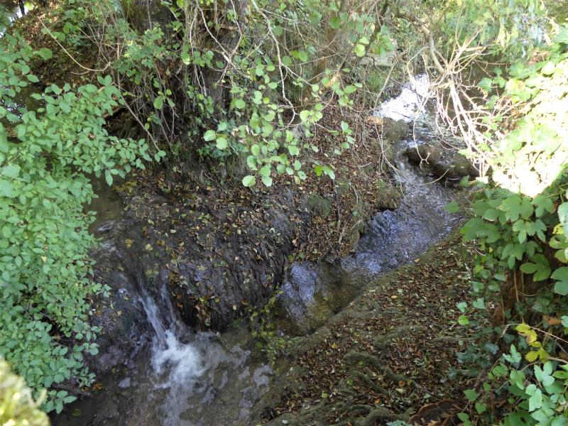Saint-Martin-des-Combes