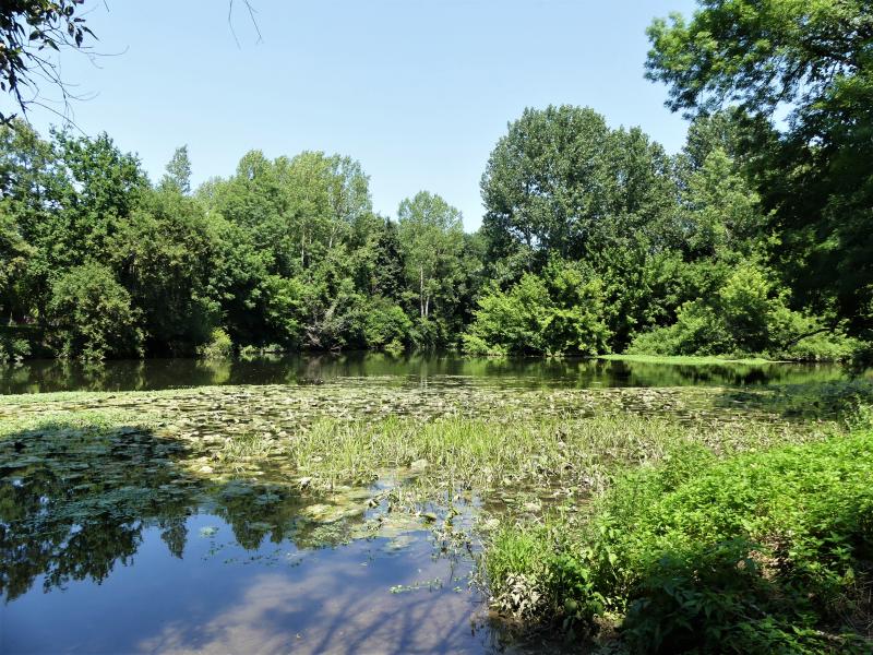 Saint-Médard-de-Mussidan